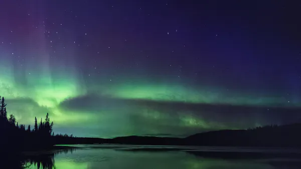 L'année en recherche 2024 : Les joyaux des requêtes