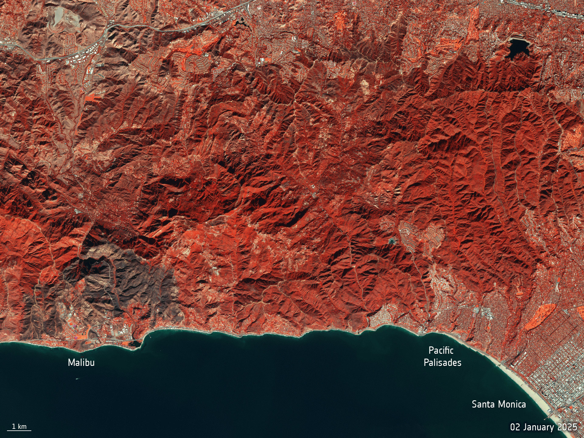 La semaine en images : 13-17 janvier 2025
