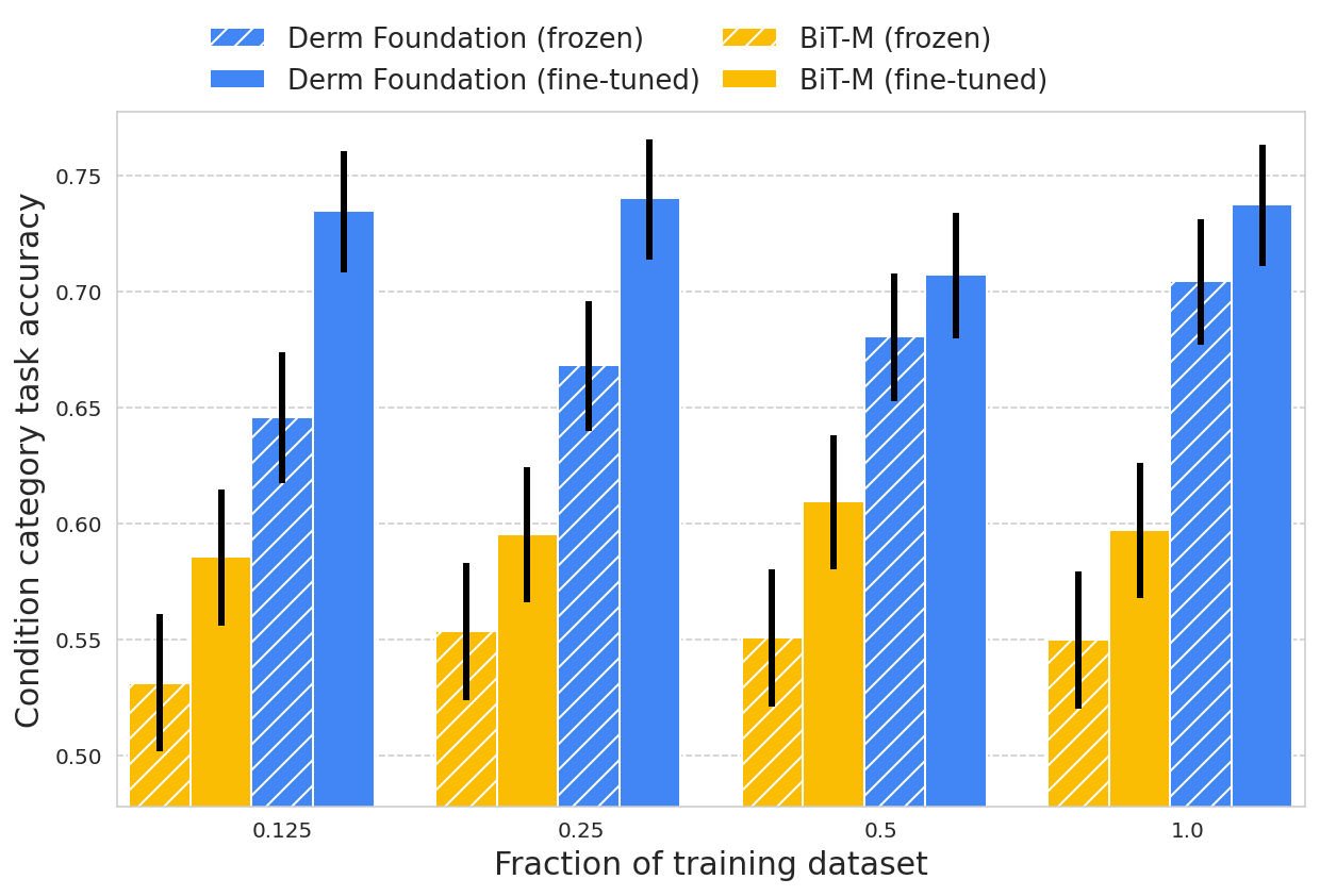 Health-specific embedding tools for dermatology and pathology