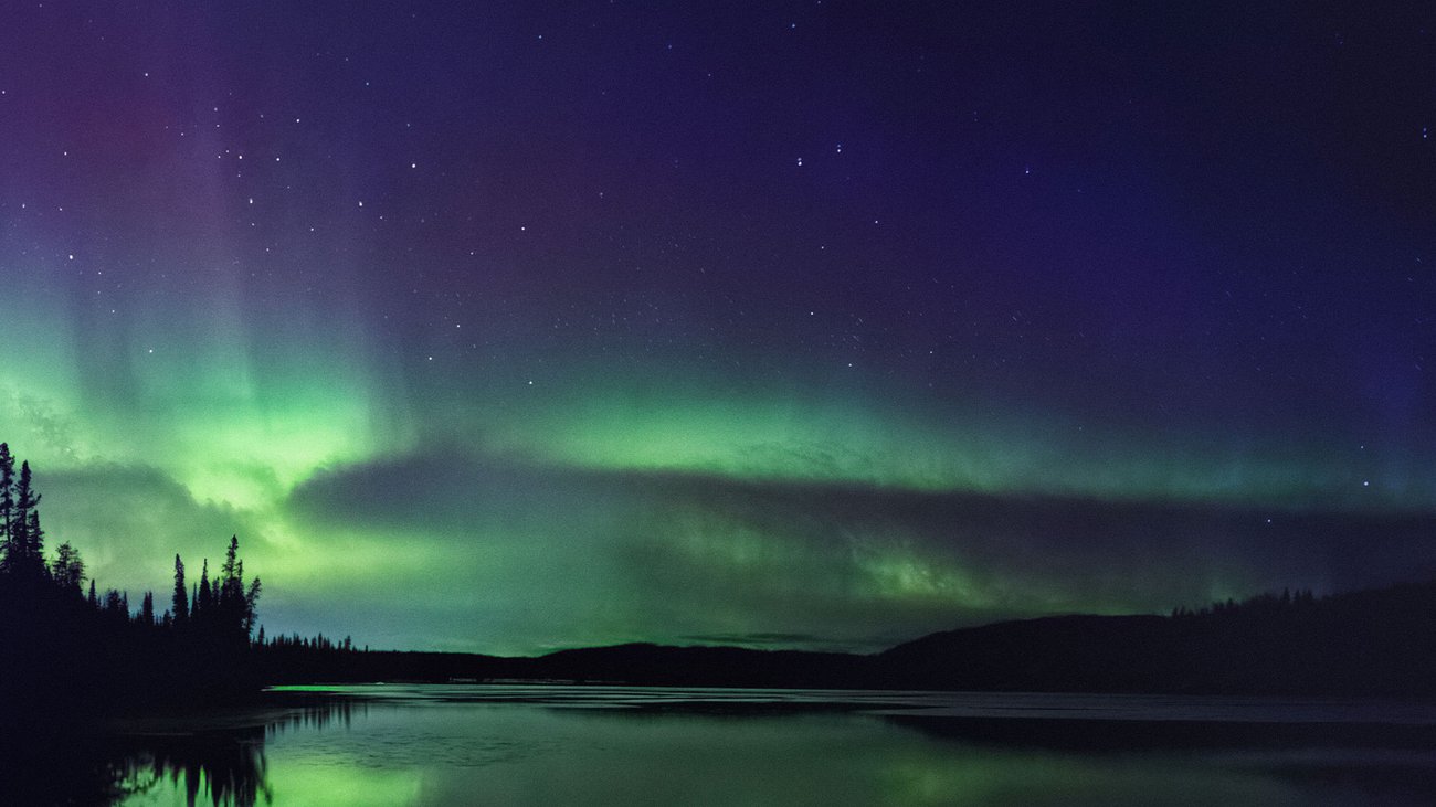 L'année en recherche 2024 : Les joyaux des requêtes