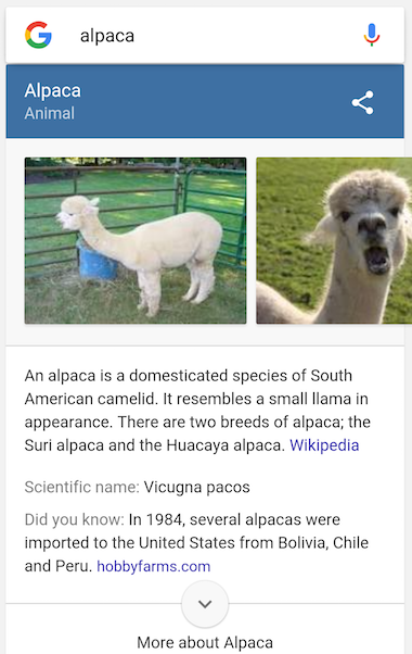 Random Facts About Animals in Google Search