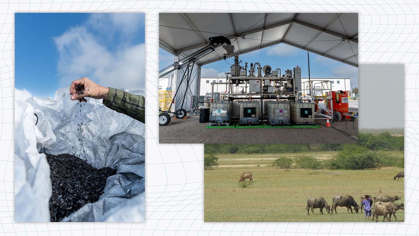 Biochar : des partenariats pour séquestrer massivement le CO2