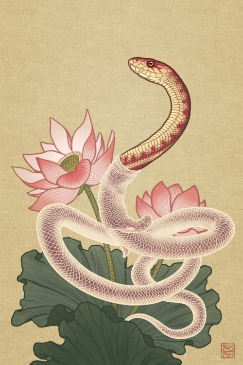 L'annĂ©e du Serpent đ sur Tumblr mardi