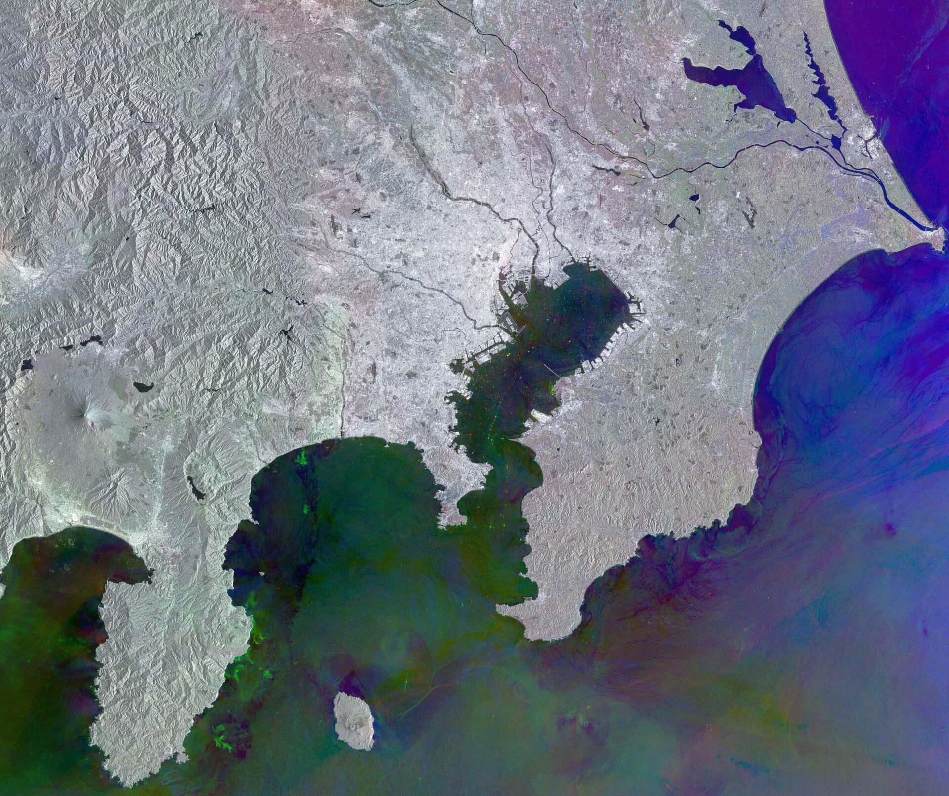 La Terre vue de l'espace : Tokyo à la loupe