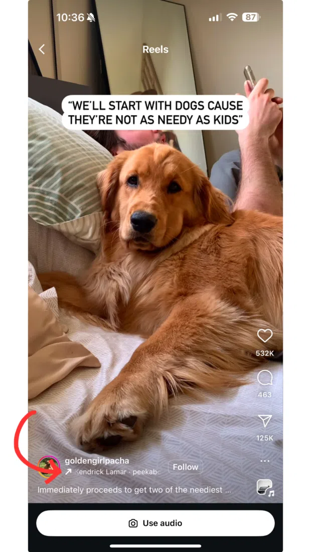 Défrichez les arcanes d'Instagram en 2025 : 40 astuces pour Booster votre Compte