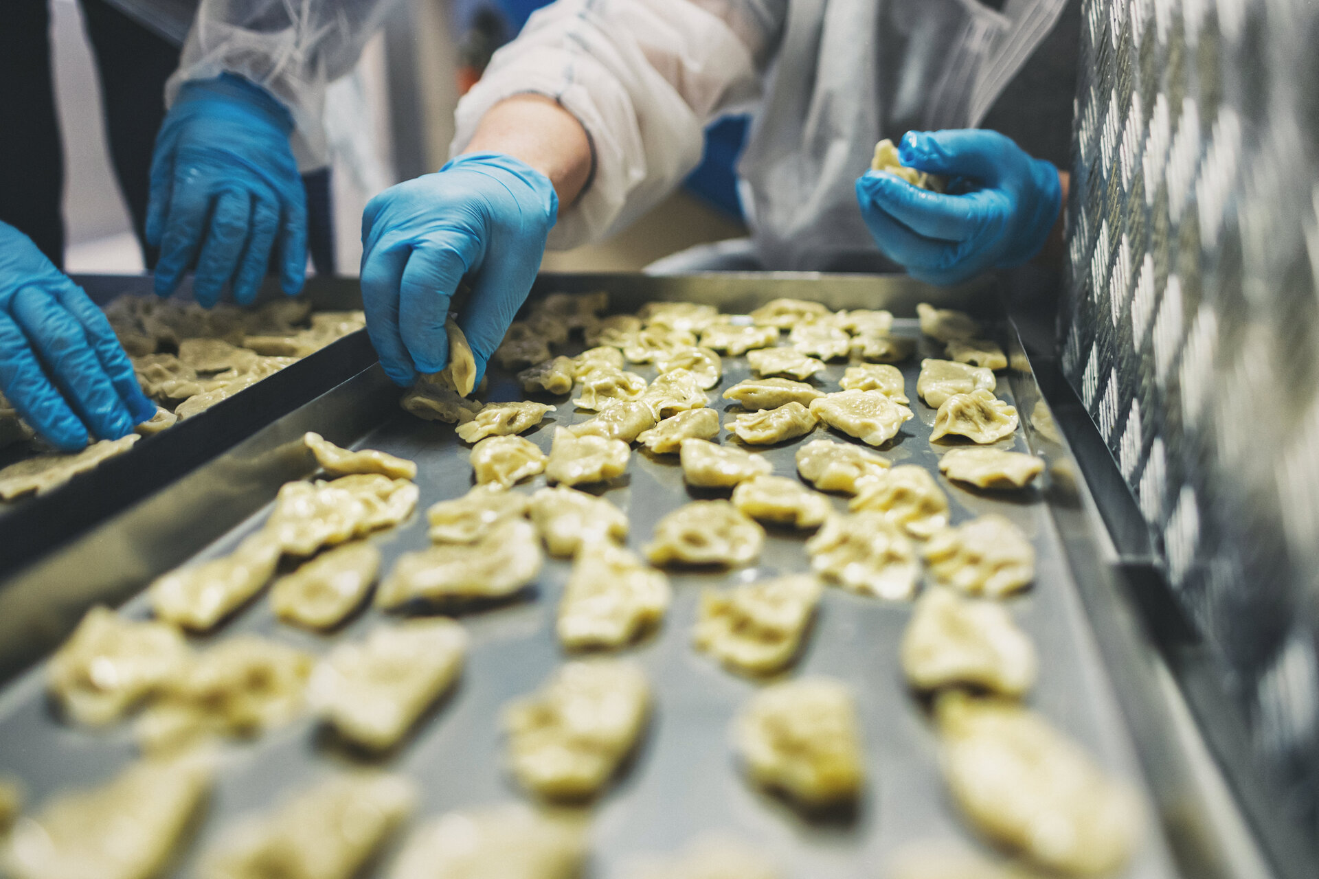 Pierogi, le festin ultime dans l'espace