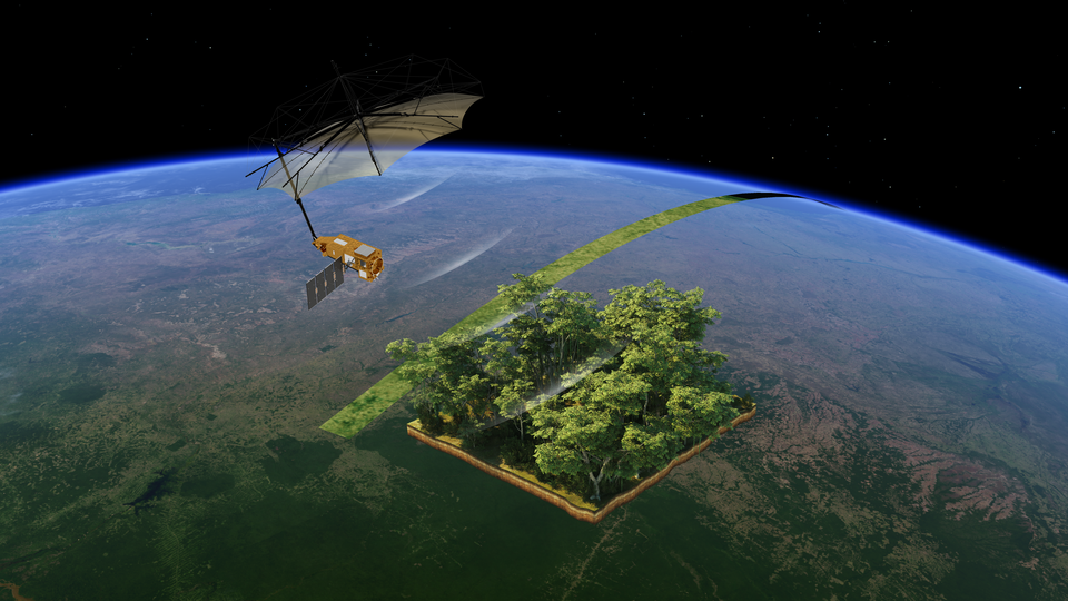 Biomass : la mission spatiale pour les forêts
