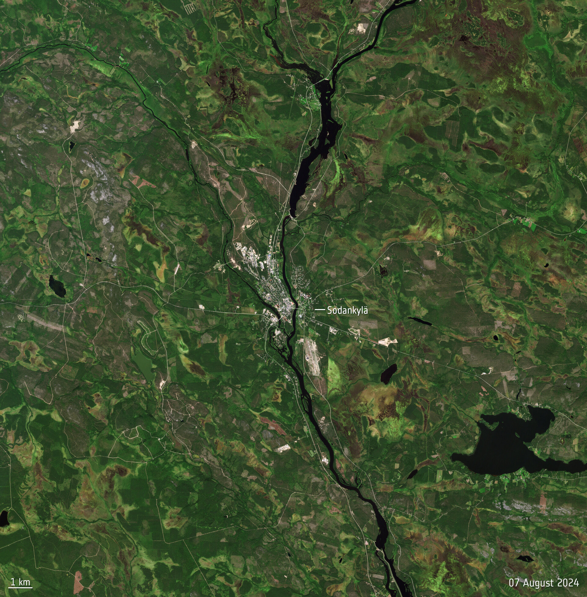 La semaine en images : 03-07 février 2025