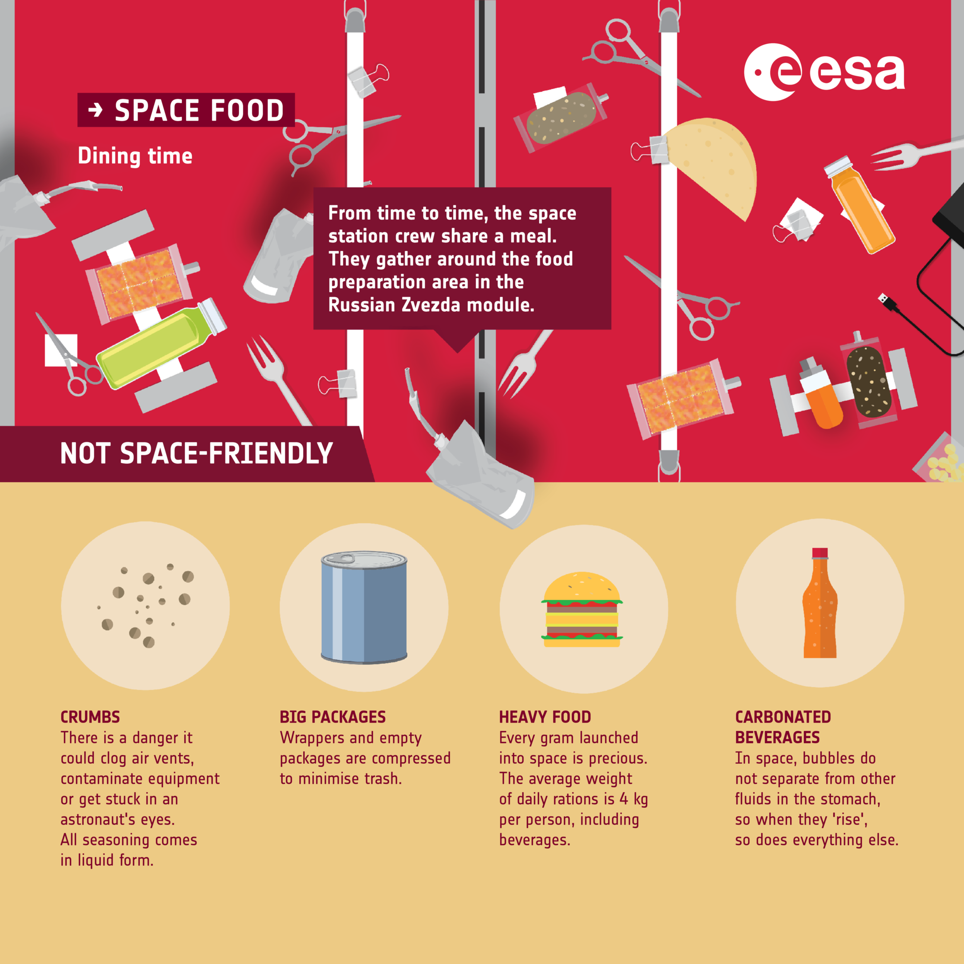 Pierogi, le festin ultime dans l'espace