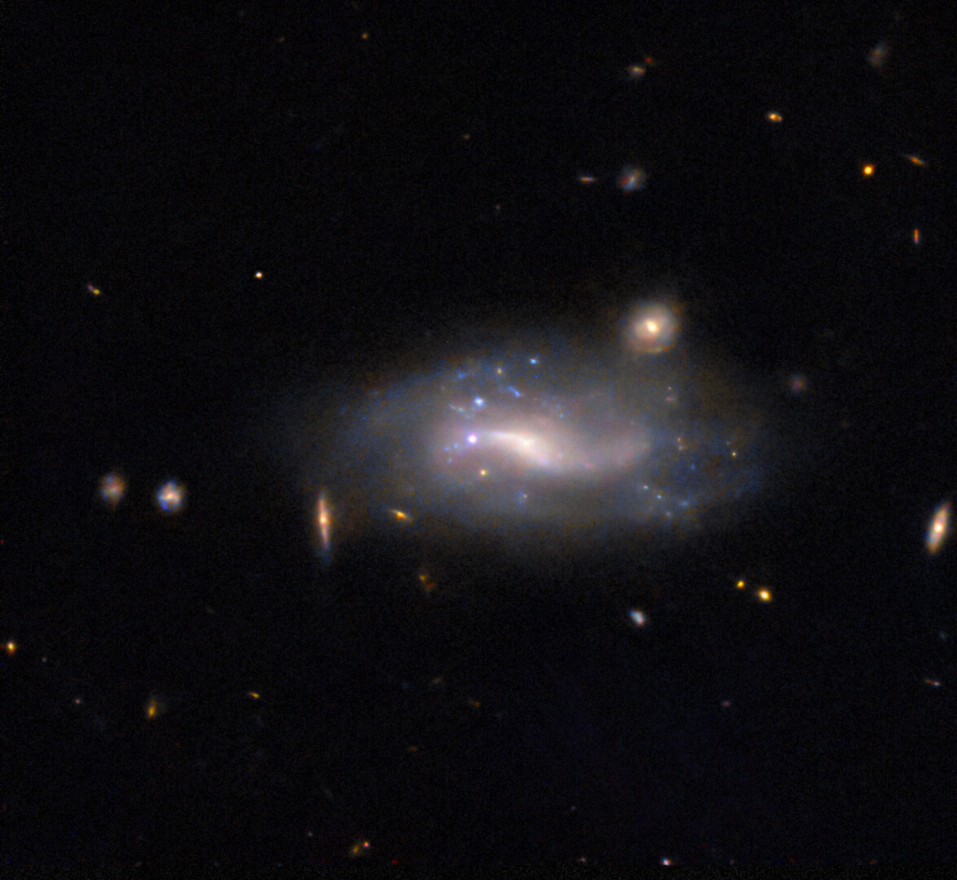 La semaine en images : 03-07 février 2025