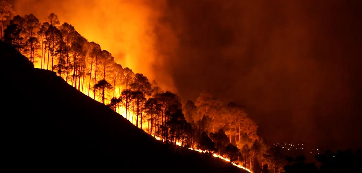 Les mégafeux décryptés dans les Landes : un voyage aux origines des incendies