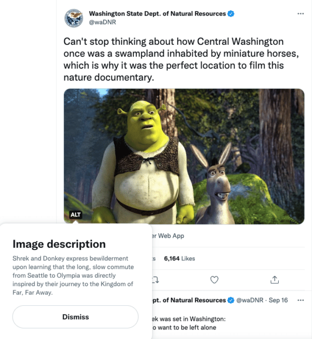 Les médias sociaux au service de l'engagement citoyen : 5 conseils pour les pouvoirs publics