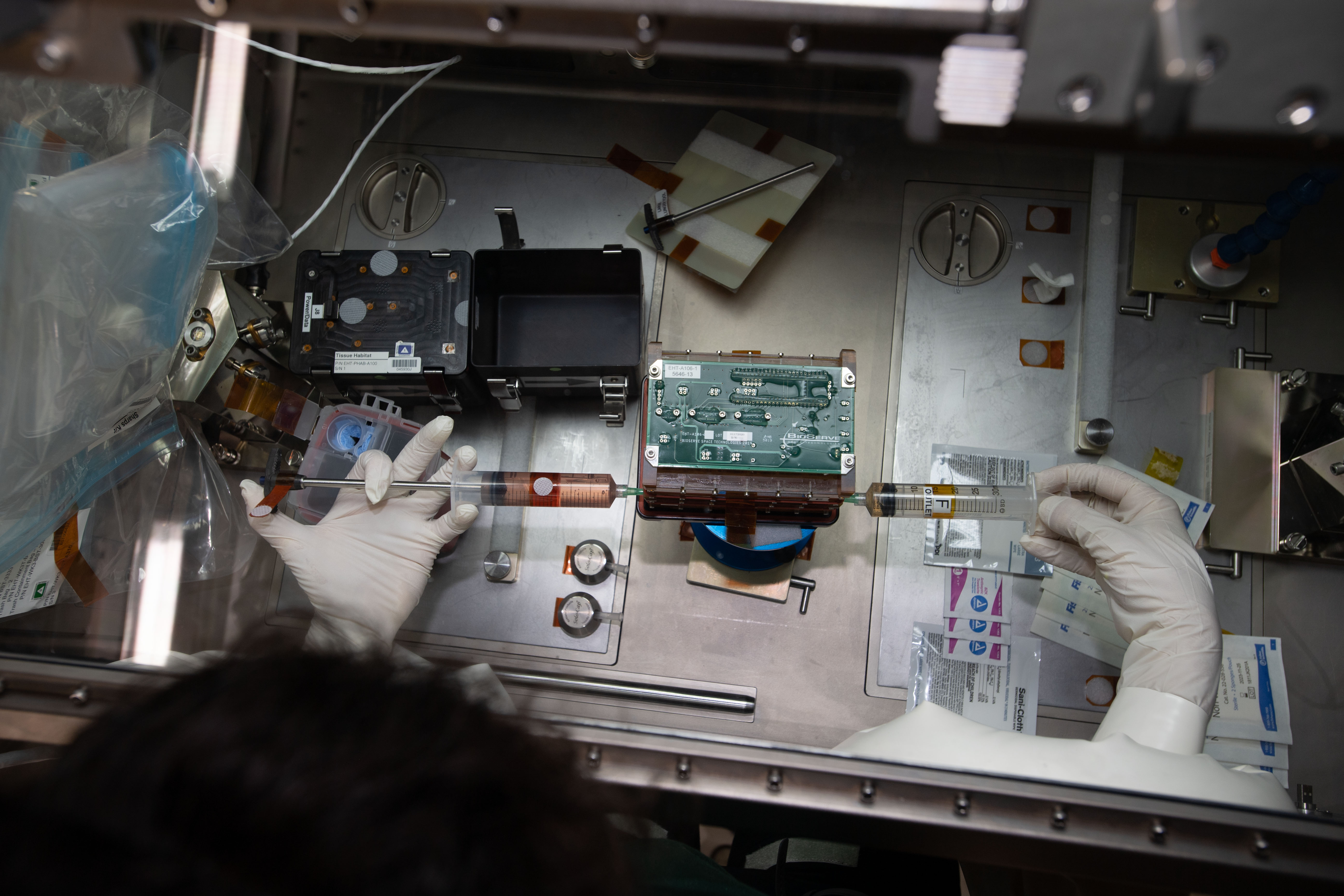 La Station spatiale internationale au cœur de la recherche sur la santé cardiovasculaire