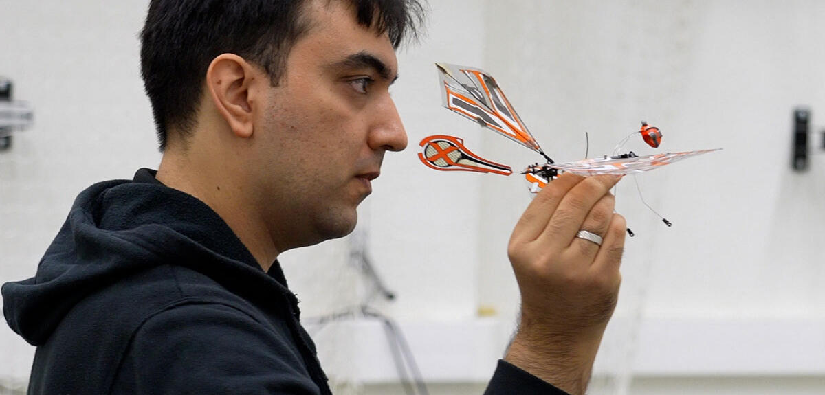 Robots bio-inspirés : le futur de la robotique