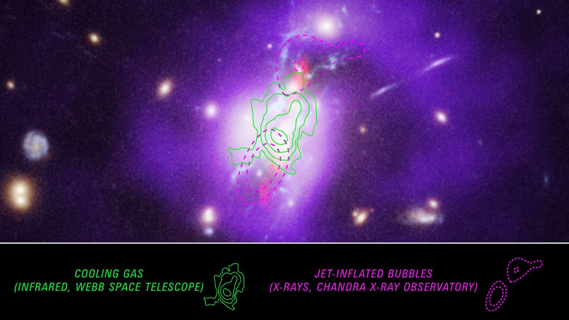 Le télescope spatial James Webb dévoile la formation stellaire prodigieuse de l'amas de galaxies de Phoenix