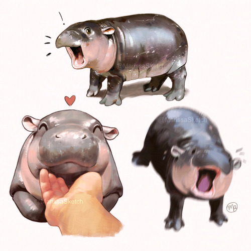 Tumblr Tuesday: Moo Deng, Queen of Our Hearts