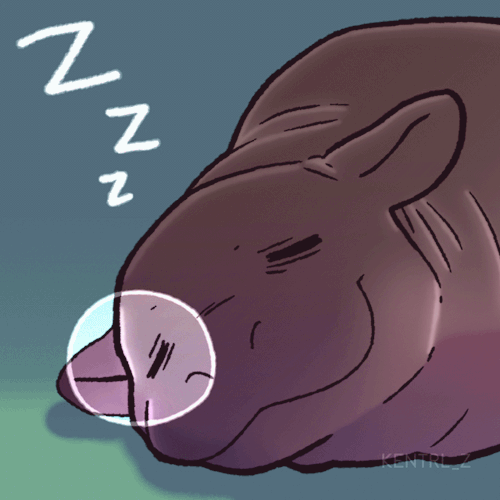 Tumblr Tuesday: Moo Deng, Queen of Our Hearts