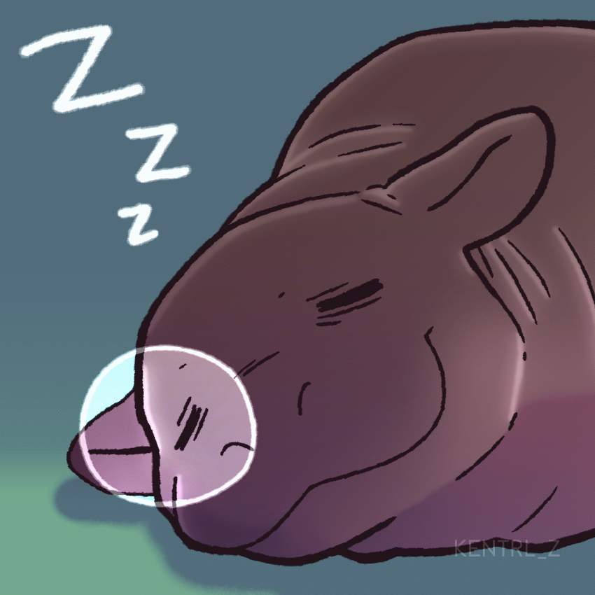 Tumblr Tuesday: Moo Deng, Queen of Our Hearts