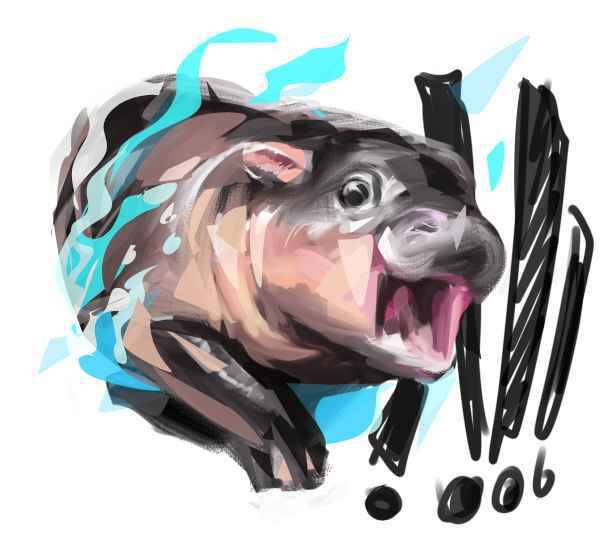 Tumblr Tuesday: Moo Deng, Queen of Our Hearts