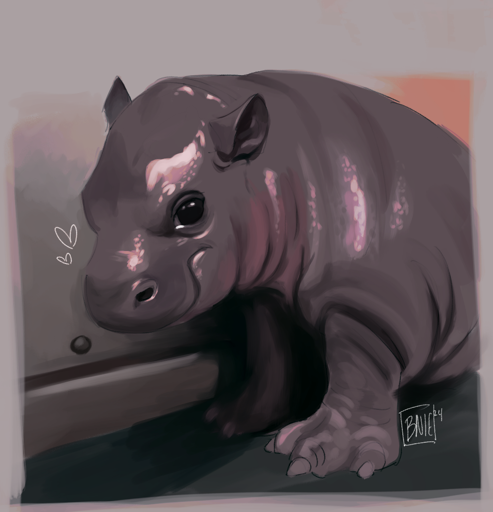 Tumblr Tuesday: Moo Deng, Queen of Our Hearts