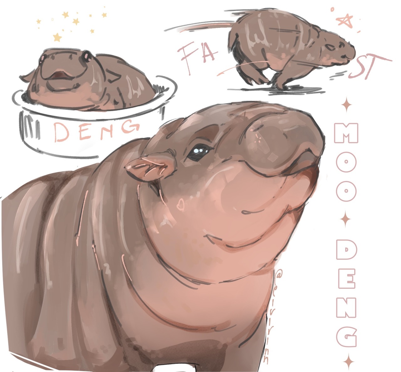 Tumblr Tuesday: Moo Deng, Queen of Our Hearts