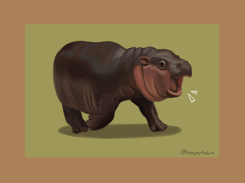 Tumblr Tuesday: Moo Deng, Queen of Our Hearts