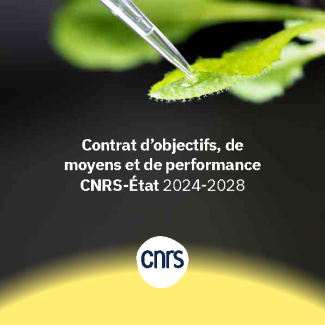 Les macrophages, ces fins gourmets de l’immunité