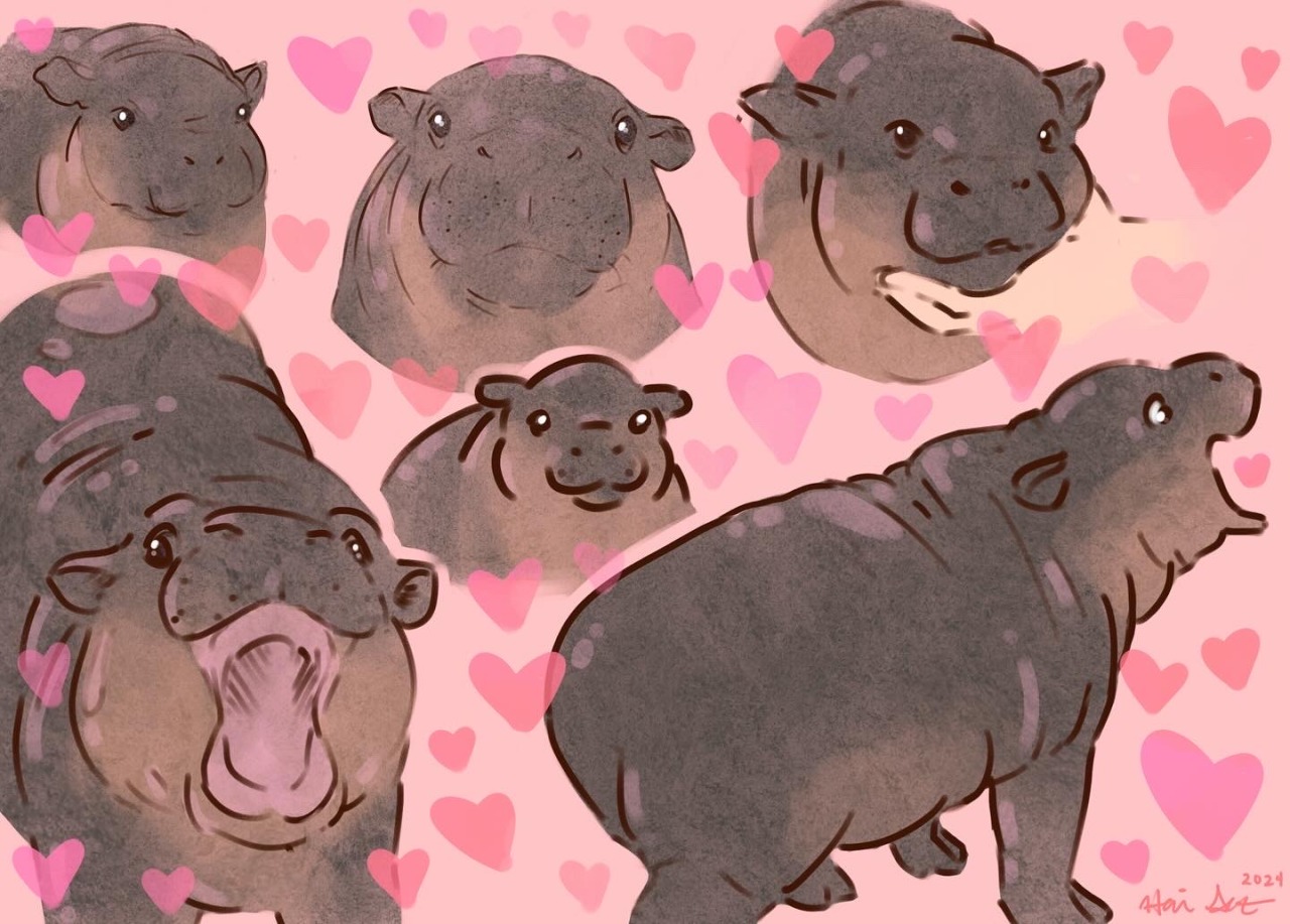 Tumblr Tuesday: Moo Deng, Queen of Our Hearts