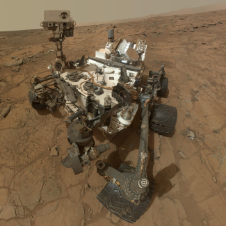 Les macrophages, ces fins gourmets de l’immunité