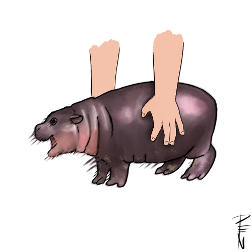 Tumblr Tuesday: Moo Deng, Queen of Our Hearts