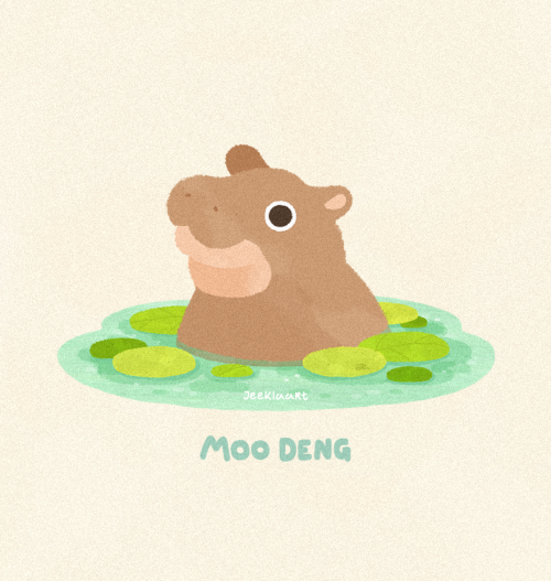 Tumblr Tuesday: Moo Deng, Queen of Our Hearts