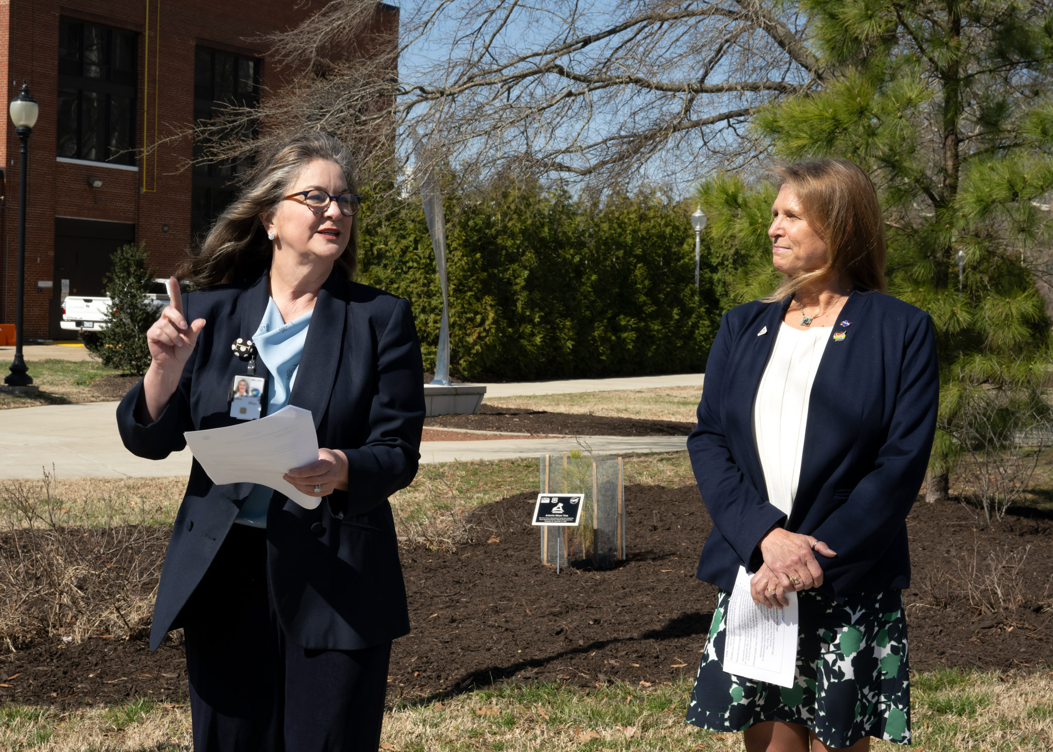 NASA Langley Dedicates Artemis Moon Tree