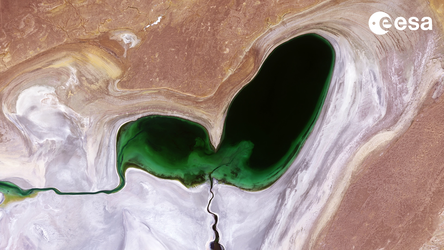 Earth from Space: The shrinking Aral Sea