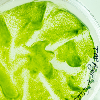 France 2030 - Le CEA, le CNRS et l’Inserm associés pour améliorer le parcours des malades grâce à la bio-ingénierie