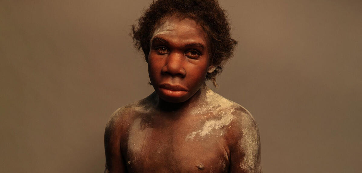 L’Afrique, berceau du genre Homo