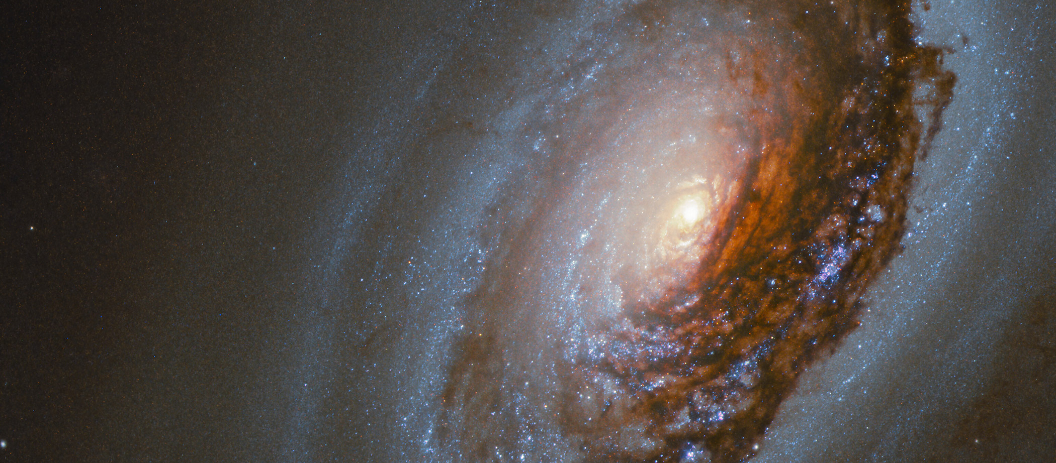 New Research Connects Plant Nutrition and Astronaut Gut Health