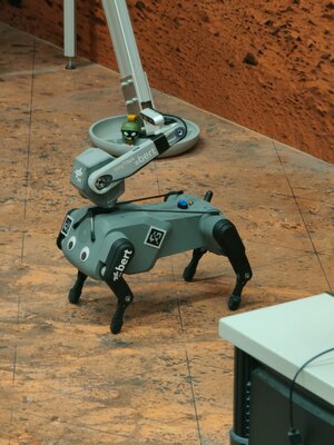 Training robots from space