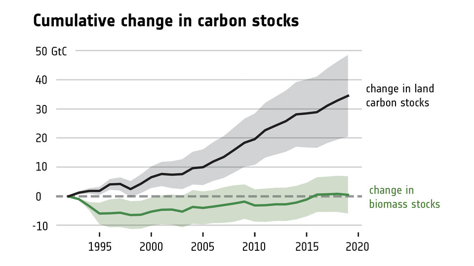 A troubling shift in Europe’s forest carbon balance