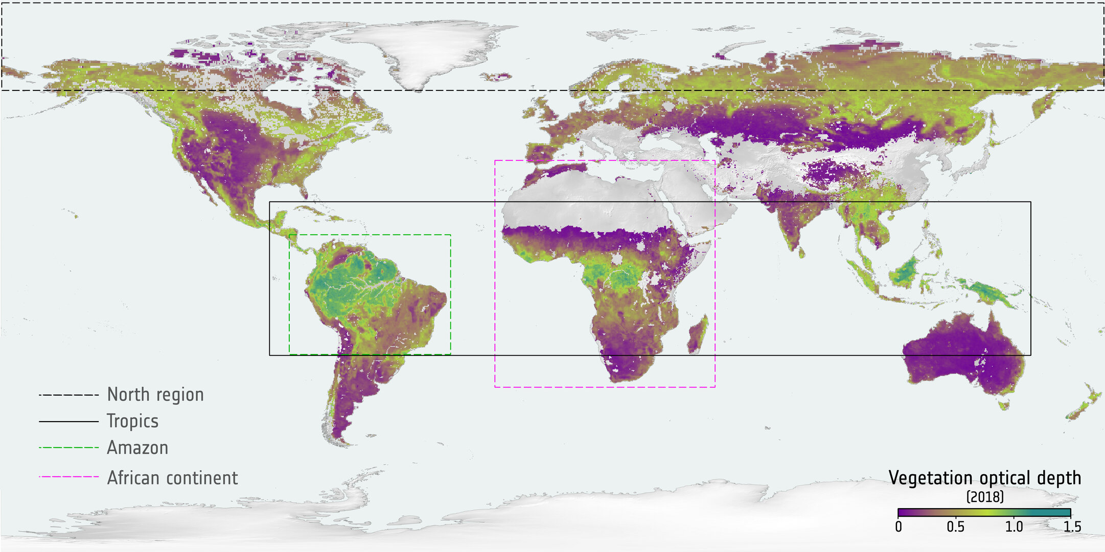 SMOS adds long-term view on carbon stored in forests
