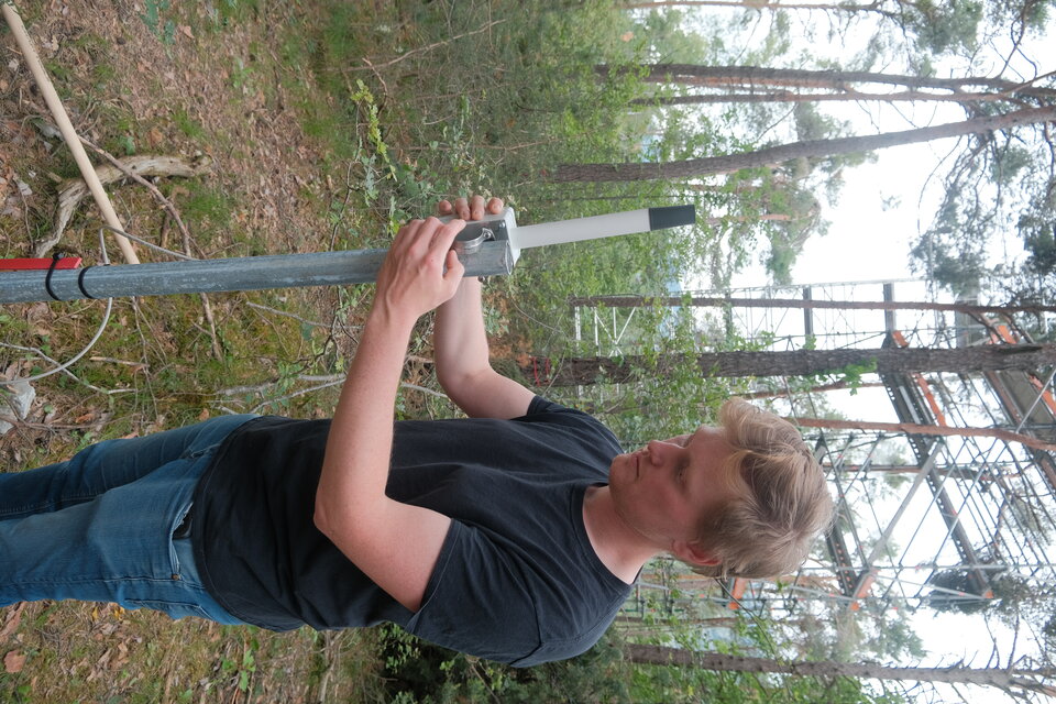 SMOS adds long-term view on carbon stored in forests