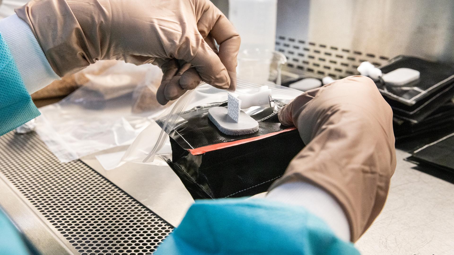 Astronauts Plant Seed Pillows in New Space Agriculture Study