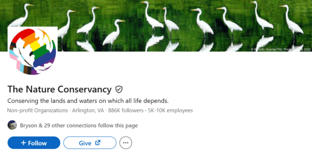 LinkedIn for business: How to grow your brand in 2025