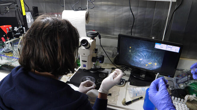 Océan et climat : un équilibre fragile