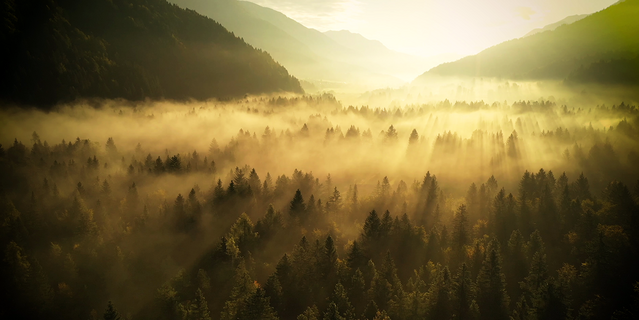 Canicule : causes et conséquences