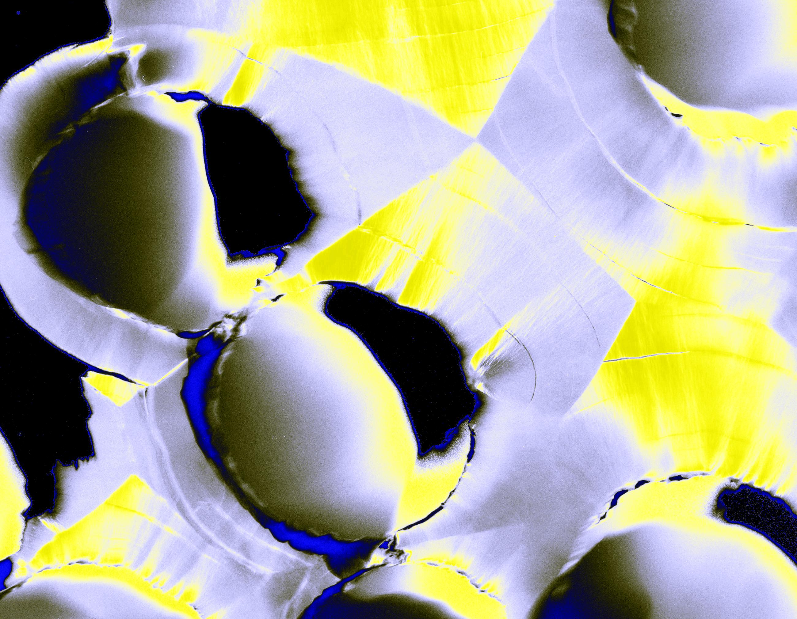 Photographie : les sciences en prennent plein la vue