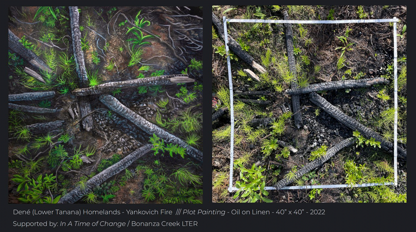 Summary of the 11th ABoVE Science Team Meeting