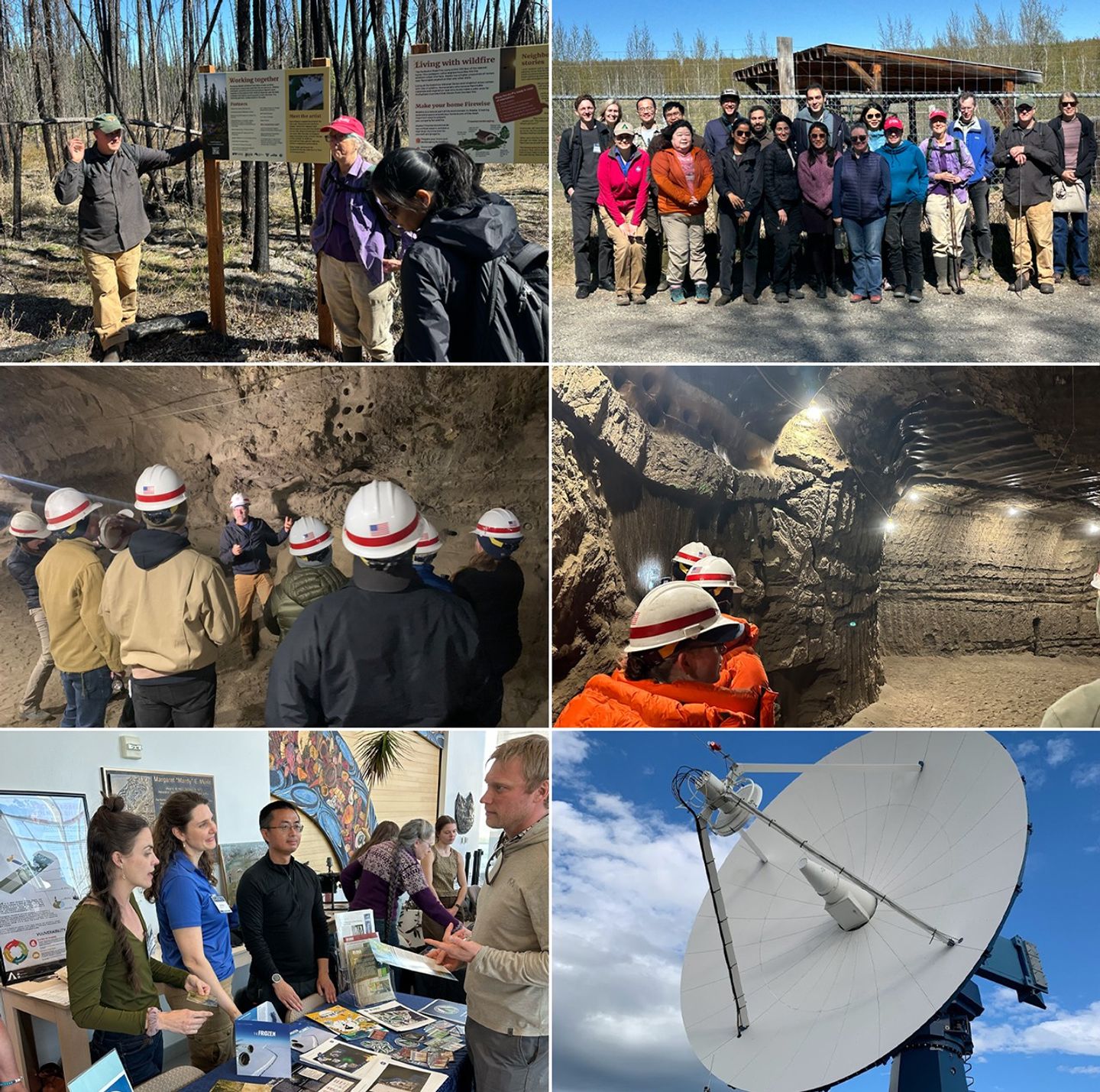 Summary of the 11th ABoVE Science Team Meeting