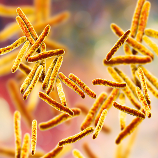 Eczéma du nourrisson : le stress pendant la grossesse pourrait être à l’origine de la maladie