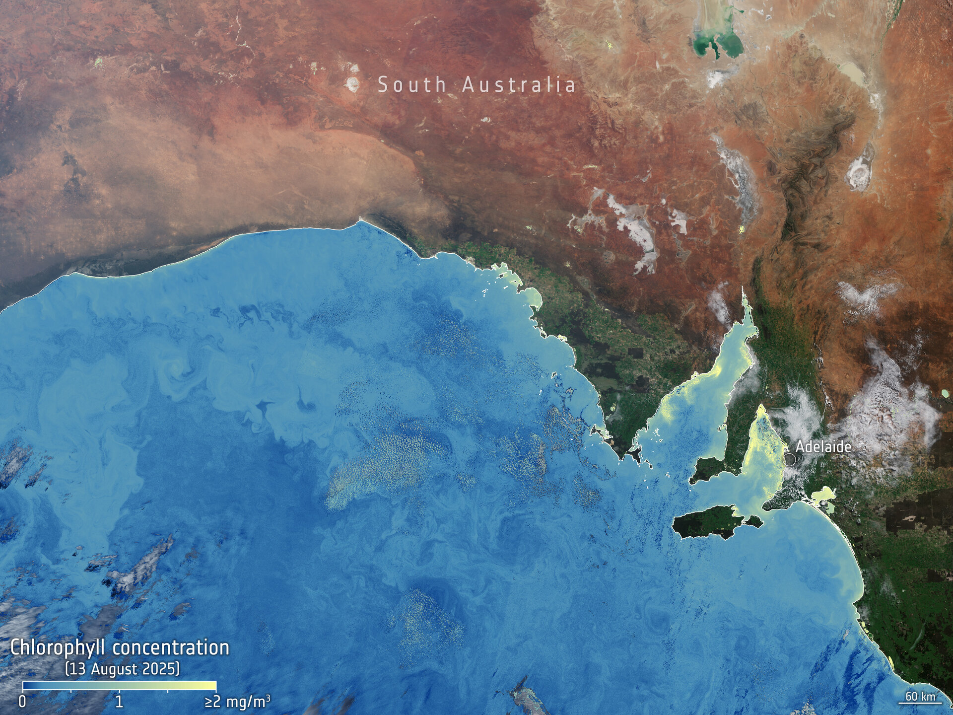 Week in images: 25-29 August 2025