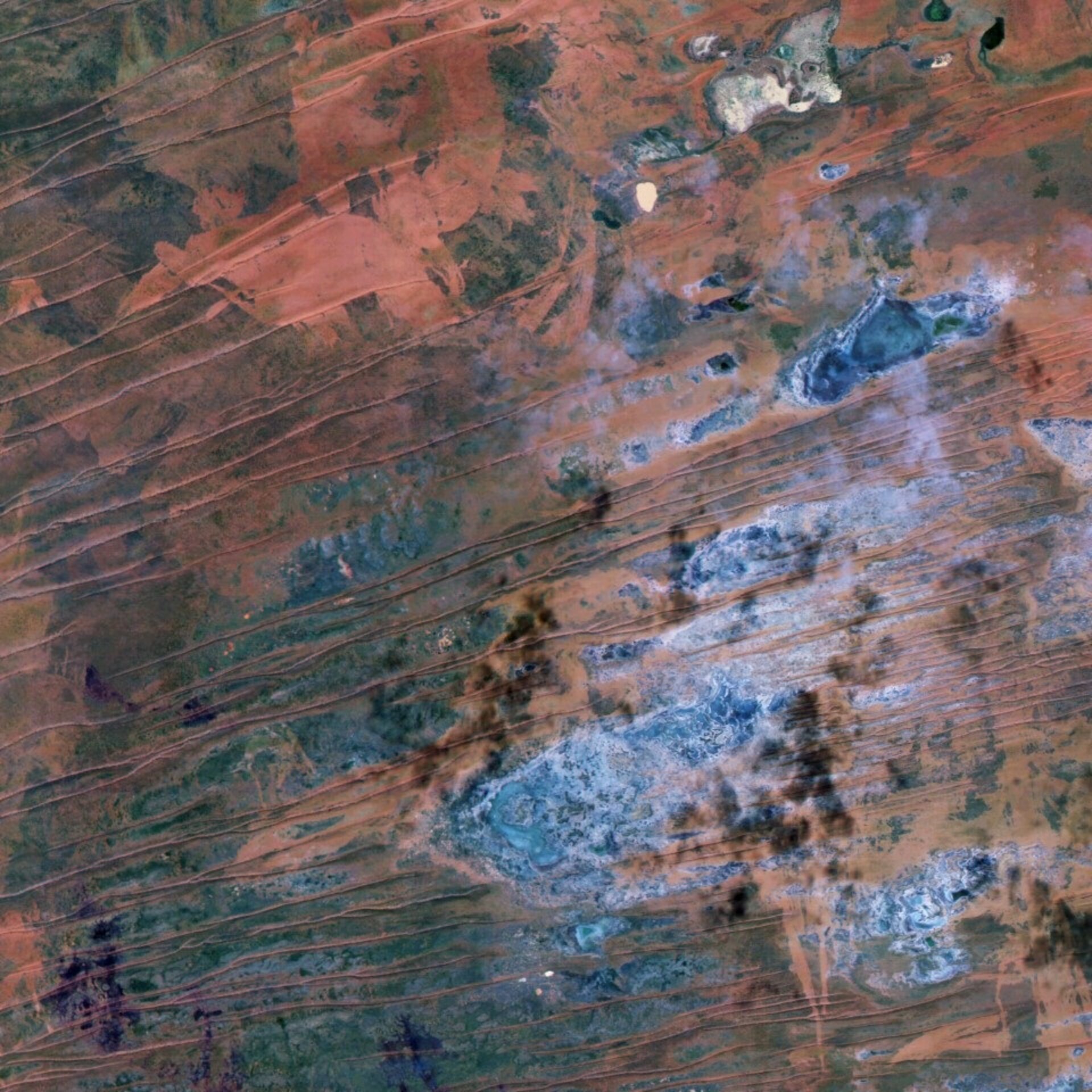 Week in images: 08-12 September 2025